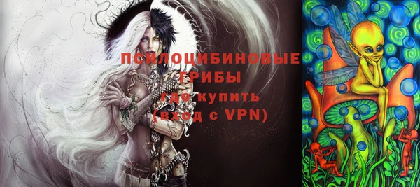 экстази Няндома