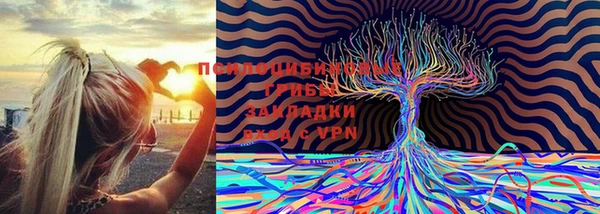 экстази Няндома