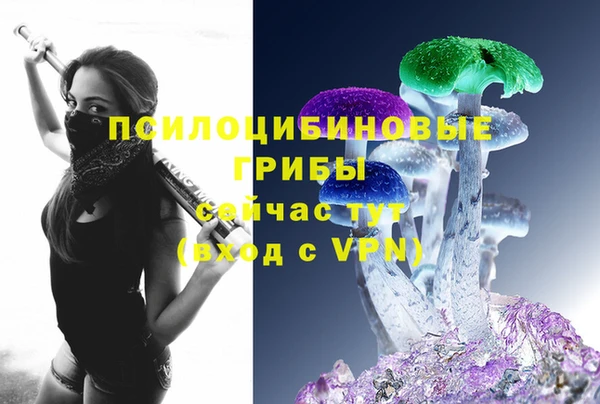 прущая мука Гусиноозёрск