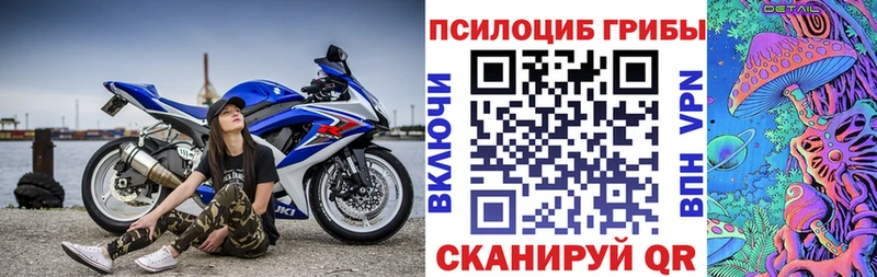 Псилоцибиновые грибы прущие грибы  blacksprut ссылка  Бакал 