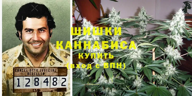 Бошки марихуана Bruce Banner  Бакал 